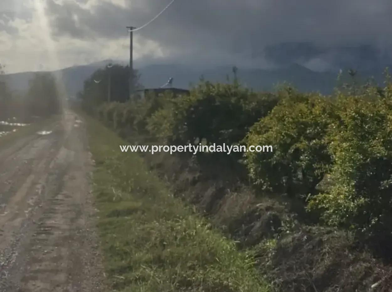 Muğla Ortaca Eskiköyde 7833 M2 Müstakil Tarla Satılık