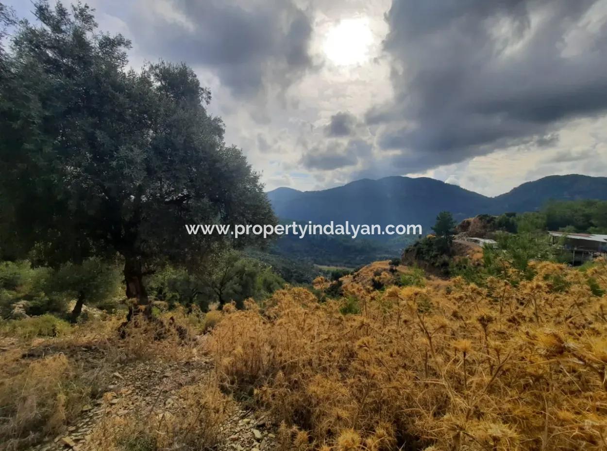 Muğla Dalyan Gökbelde  7 270 M2 Müstakil Tapulu Deniz Ve Göl Manzaralı Arazi Satılık