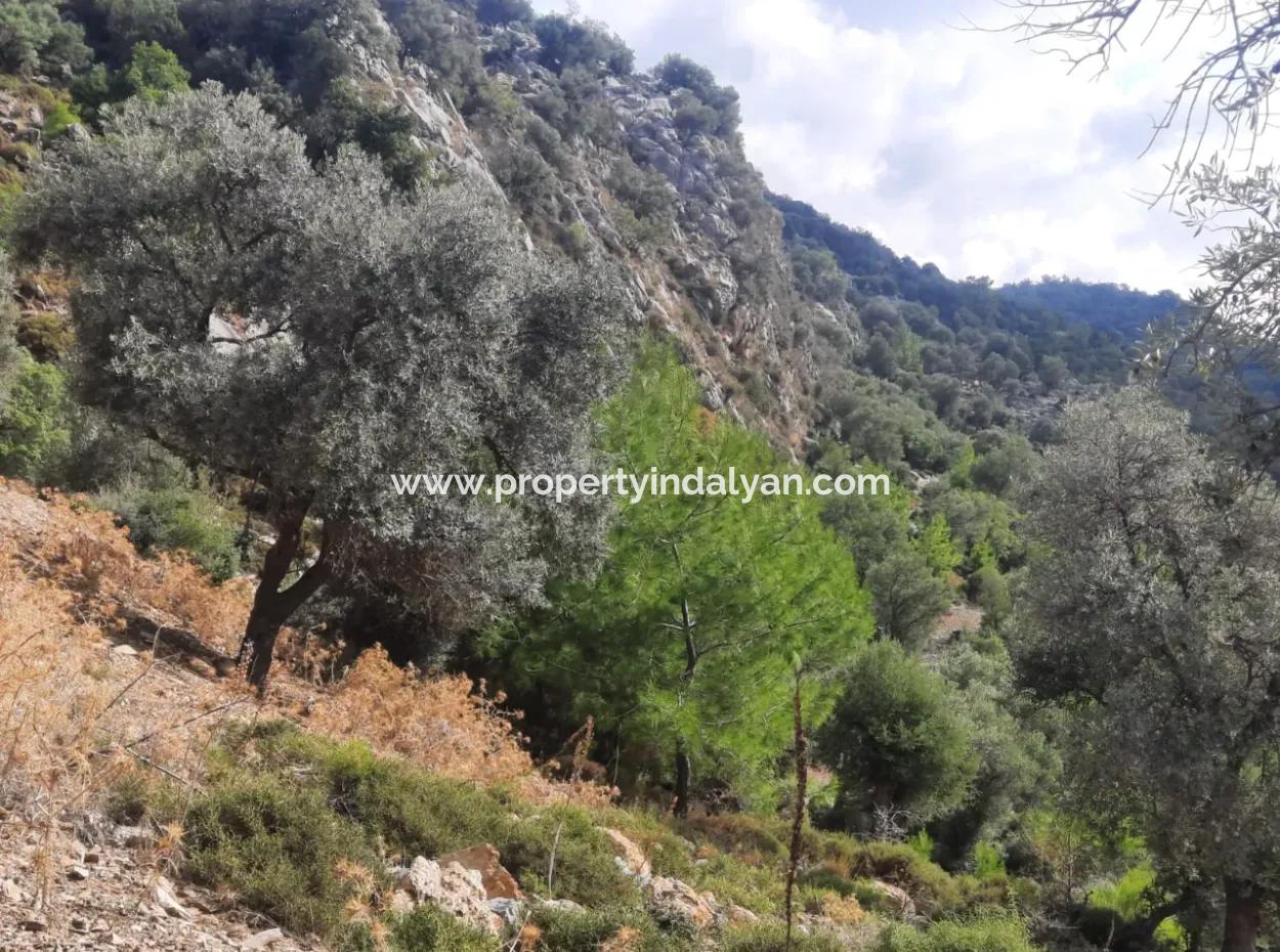 Muğla Dalyan Gökbelde  7 270 M2 Müstakil Tapulu Deniz Ve Göl Manzaralı Arazi Satılık