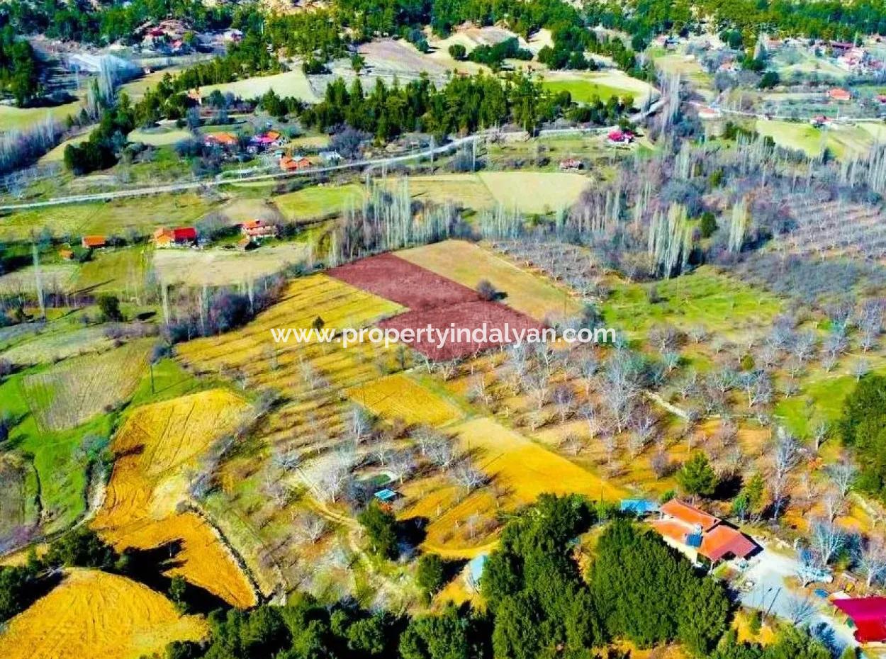 Denizli Çameli Cevizlide, 3.278 M² Fırsat İmarlı Müstakil Arazi Satılık