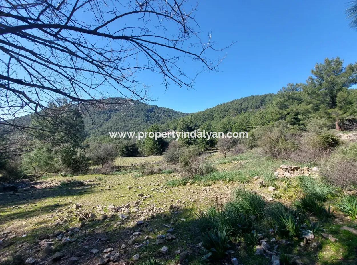 Muğla Ortaca Gökbelde Doğa İçinde 2 400 M2 Tarla Satılık