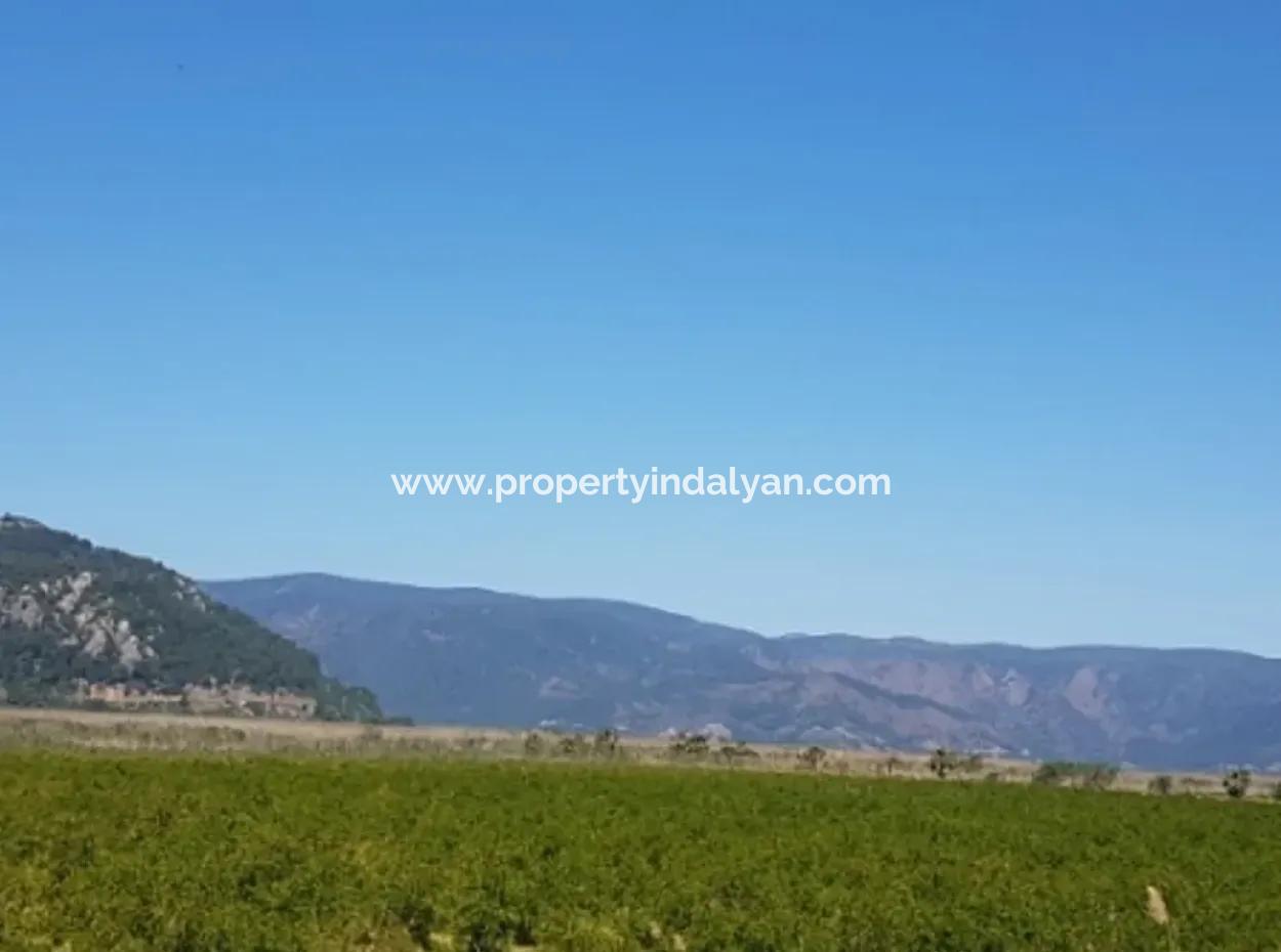 Dalyan Da Satılık Nar Bahçesi