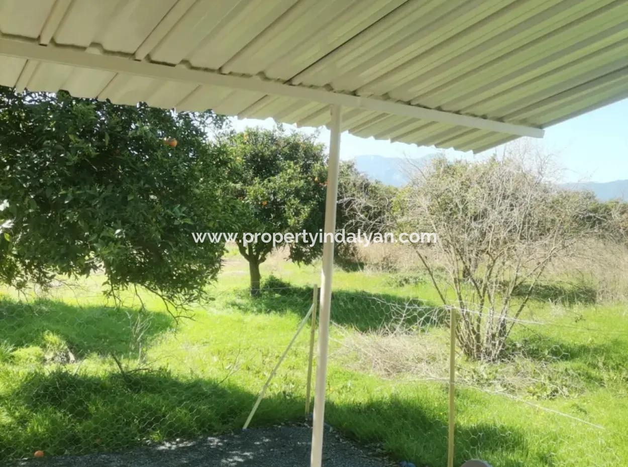 Ortaca Tepearası Mah. 2+1 Bahçe Katı Daire Kiralık