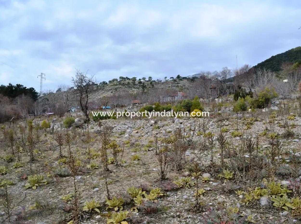 Fethiye, Nifte, 2 000 M2, Müstakil Satılık, Kelepir Arazi