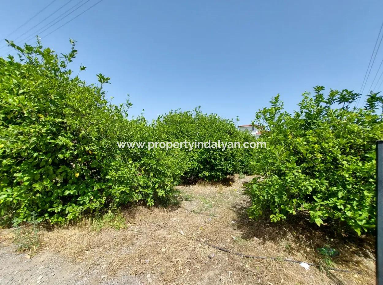 Muğla Ortaca Ekşiliyurtta Konut İmarlı Müstakil 2 000M2 Arsa Satılık