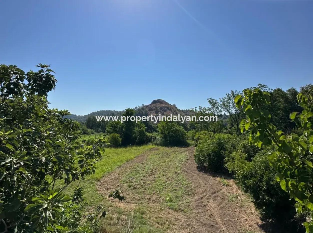 Ortaca Akıncı Da 1823 M2 Arsa Satılık