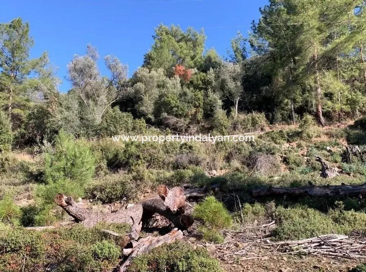 Göcek Te Satılık Yatırıma Uygun Arazi