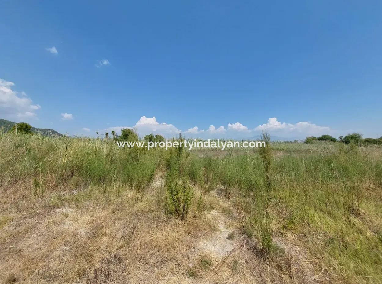 Muğla Ortaca Dalyanda Kanala Yakın 7.353 M2 Müstakil Arazi Satılık