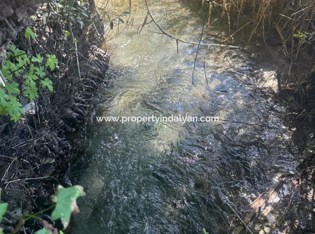 Dalyan Marmarlıda 3073 M2 Tarla Kiralık