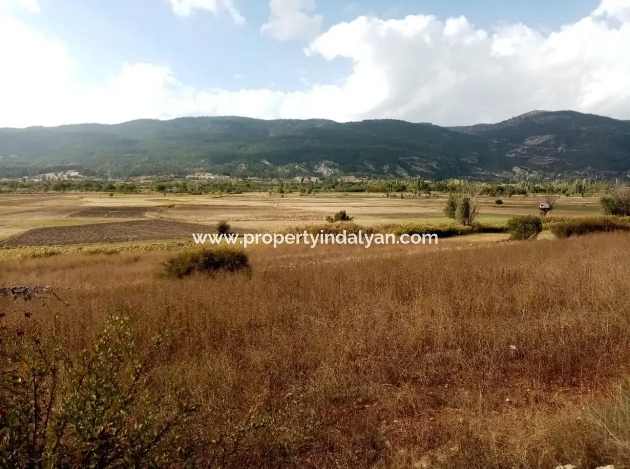 Denizli Çameli Belevi Mahallesinde 2603 M2  Tarla Satılık