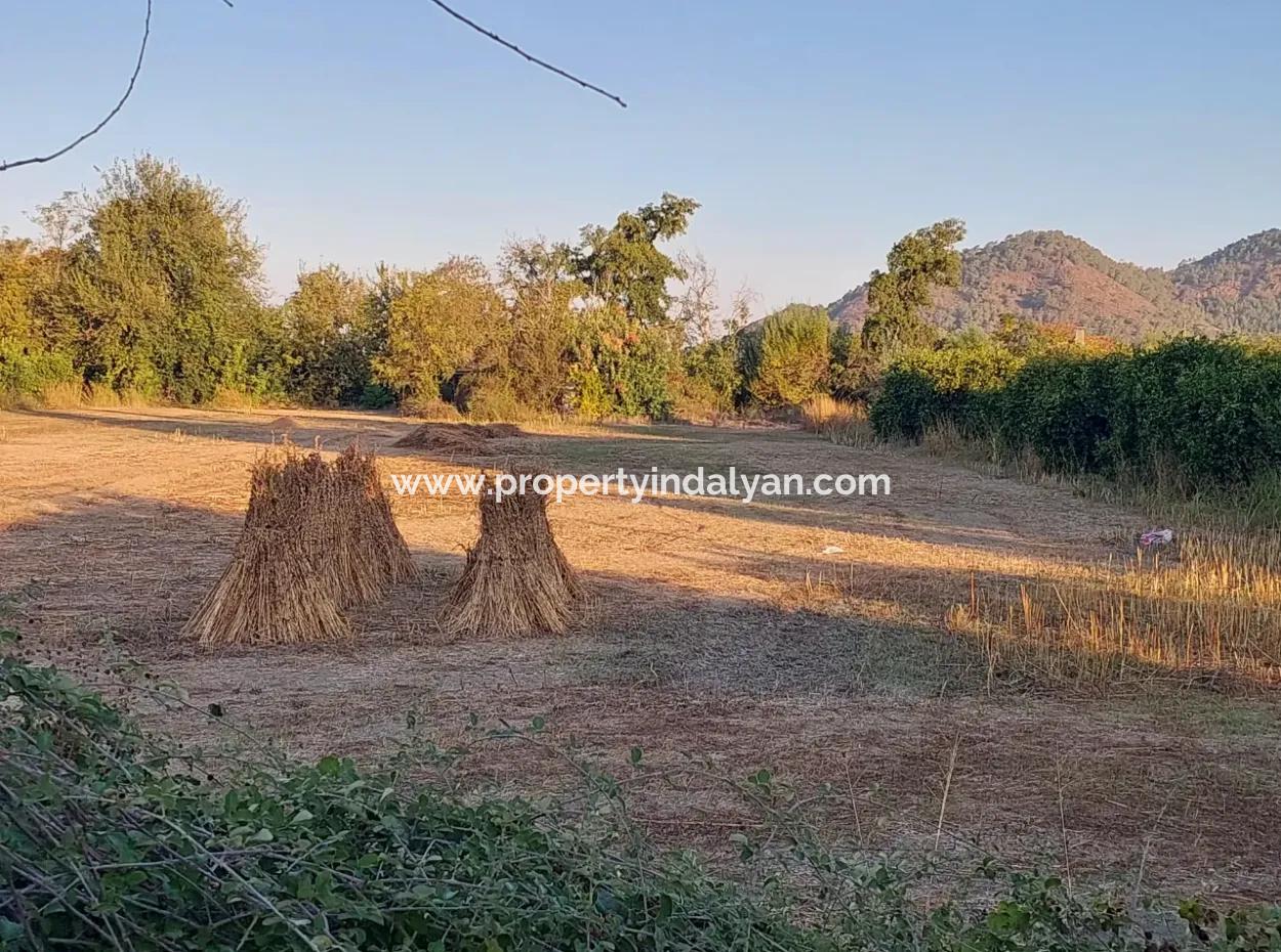 Muğla Ortaca Kemaliyede Ana Yola Sıfır 3 700 M2 Arazi Satılık