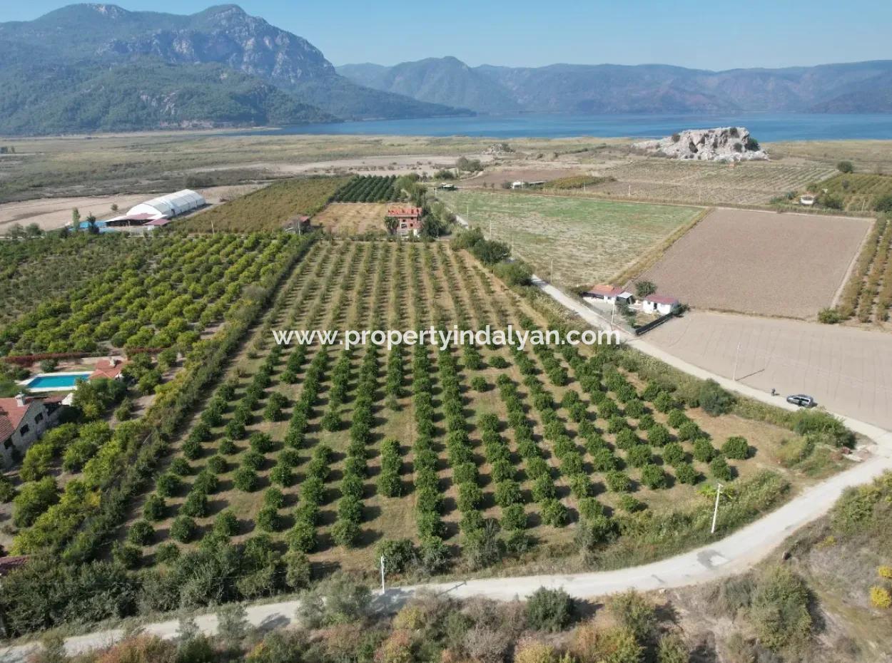Ortaca Eskiköyde 17.000 M2 Müstakil Nar Bahçesi Satılık