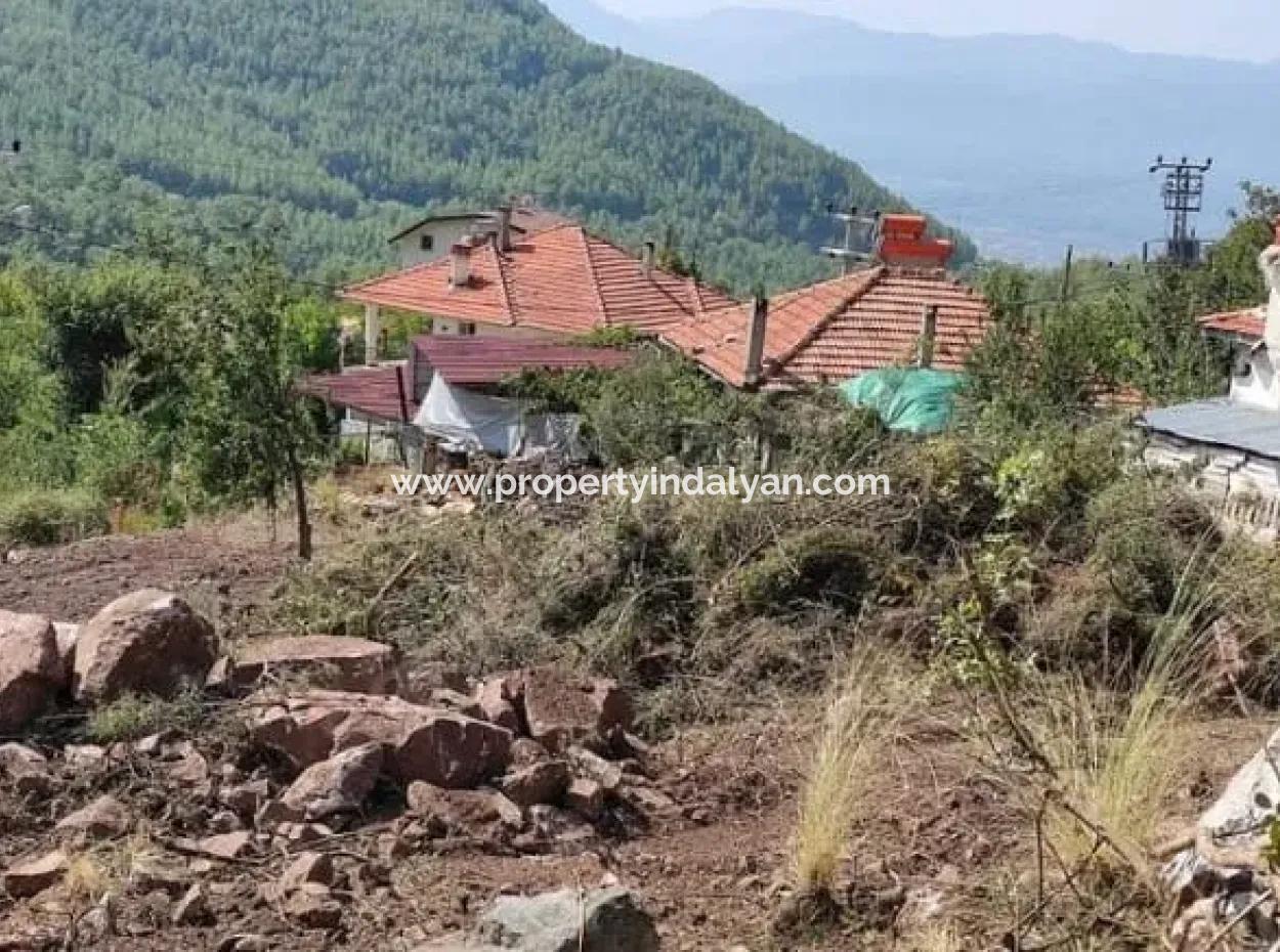 Muğla Köyceğiz Yayla Mah 560 M2 Arsa Satılık