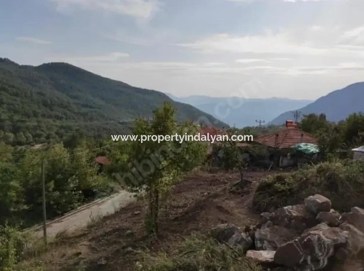 Muğla Köyceğiz Yayla Mah 560 M2 Arsa Satılık