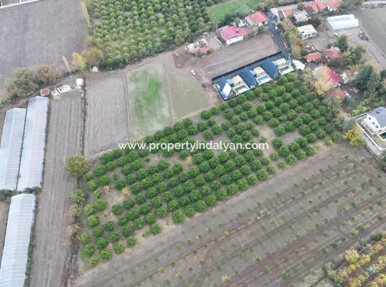 Ortaca Okçularda Yatırıma Uygun İmar Planı İçinde 9750  M2 Arazi Satılık