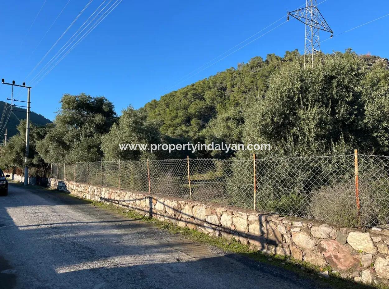 Muğla, Köyceğiz, Ekincikte Yatırma Uygun 3.300 M2 Arazi Satılık