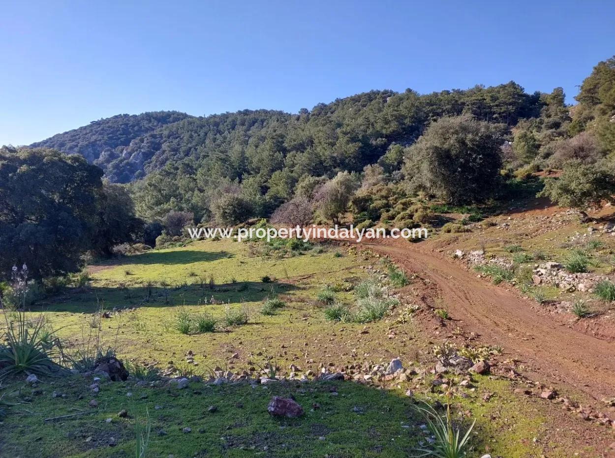 Ortaca Gökbelde Müstakil Tapulu Deniz Manzaralı 28.350 M2 Arazi Satılık