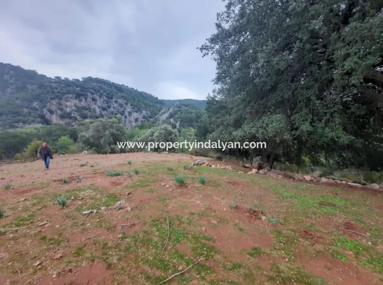 Muğla Dalyan Gökbelde Doğa İçinde 24.000 M2 Müstakil Arazi Satılık