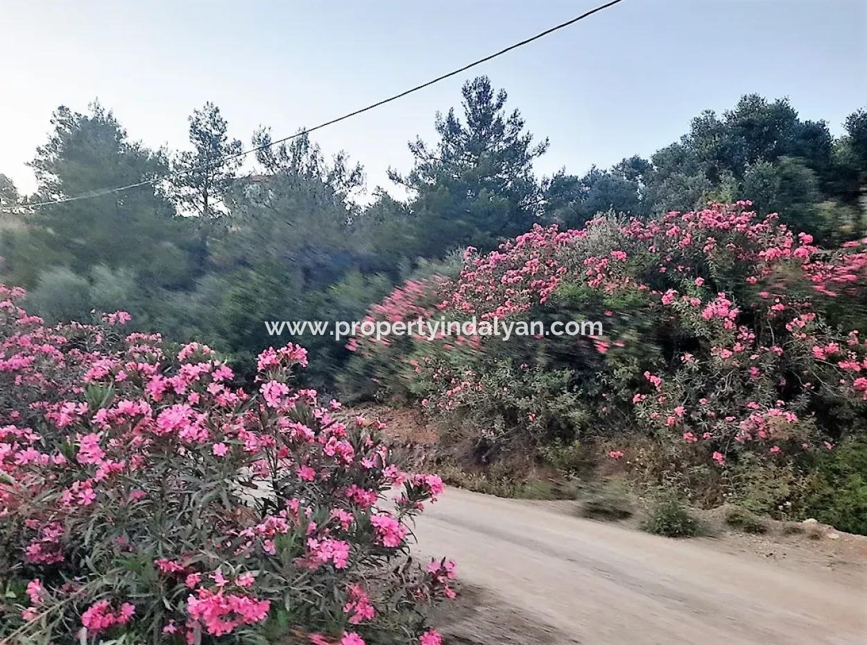 Muğla Ortaca Gökbel’de Satılık Müstakil Tapulu  238 M2 Hobi Bahçesi