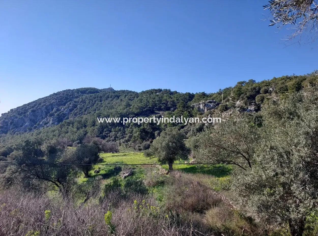 Ortaca Gökbelde Müstakil Tapulu Deniz Manzaralı 5.216 M2, 2B Arazi Satılık