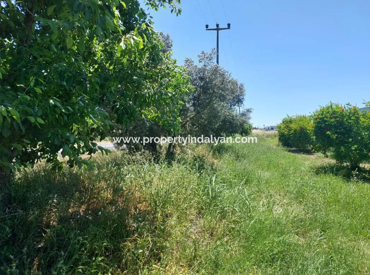 Muğla Ortaca Eskiköyde 9.000  M2 Nar Bahçesi Satılık