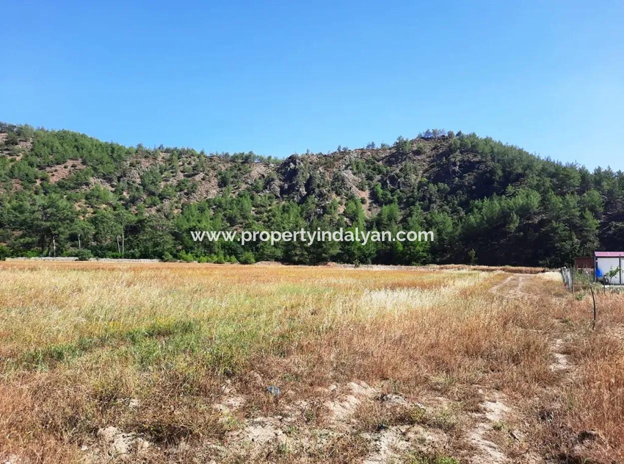 Dalaman Karacaağaçda 454 M2 Müstakil Tapulu Arazi Satılık