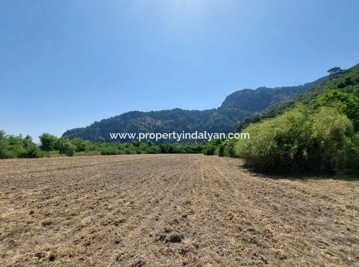 Muğla Marmarlıda 7.750 M2 İmar Planı İçinde Yatırıma Uygun Kelepir Arsa  Satılık
