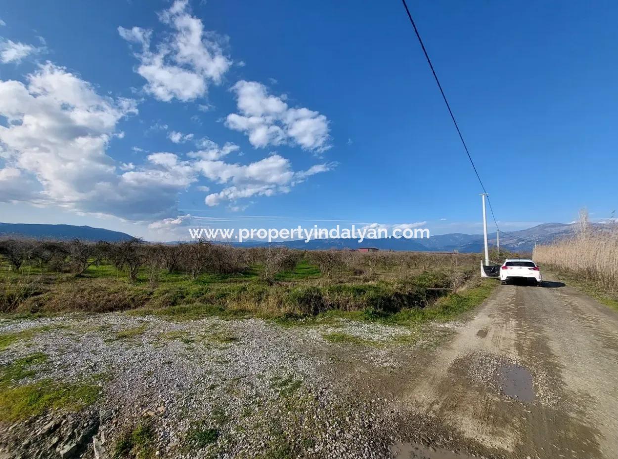 Ortaca Tepearasında  24.800 M2 Yatırım Ve Zirayi Krediye Uygun Nar Bahçesi Satılık