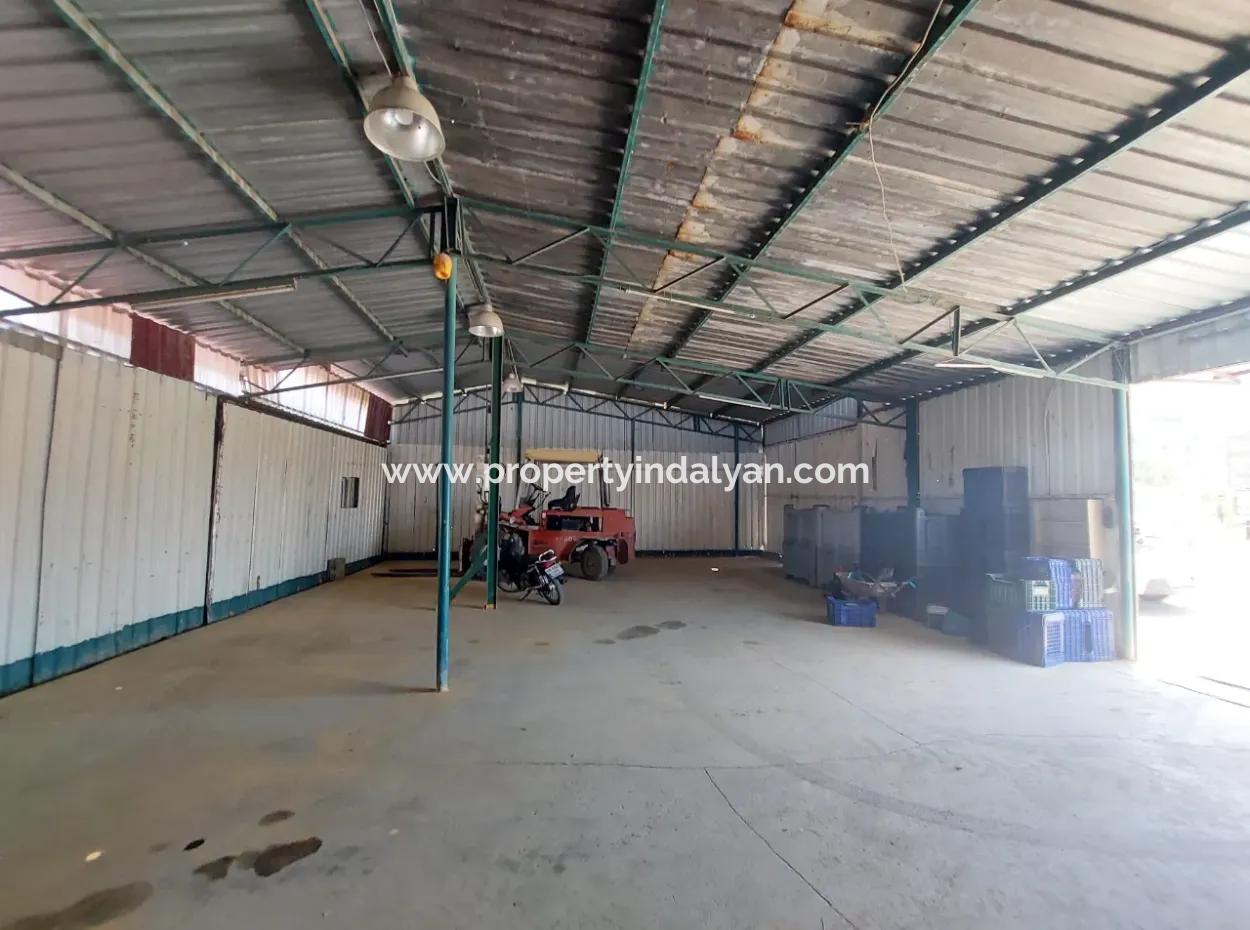 Muğla Dalyan’da 60 M² Tam Kullanımlı Kiralık Depo