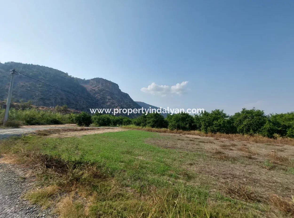 Ortaca Karadonlar’da 4.500 M² Bakımlı Limon Bahçesi Satılık