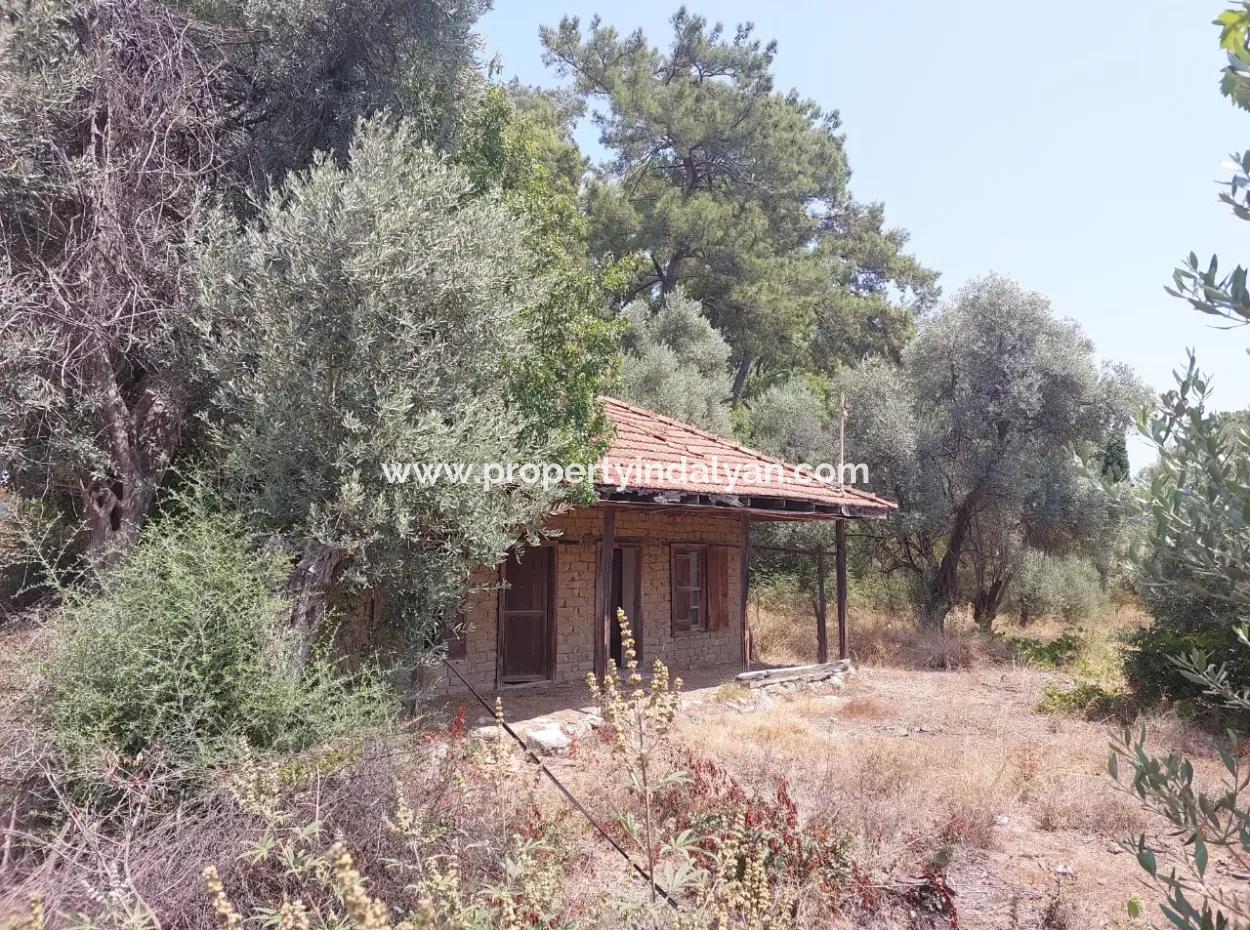 Muğla Köyceğiz Çandır’da Göl Manzaralı Köy Evi Ve Zeytinlik Arazi Satılık