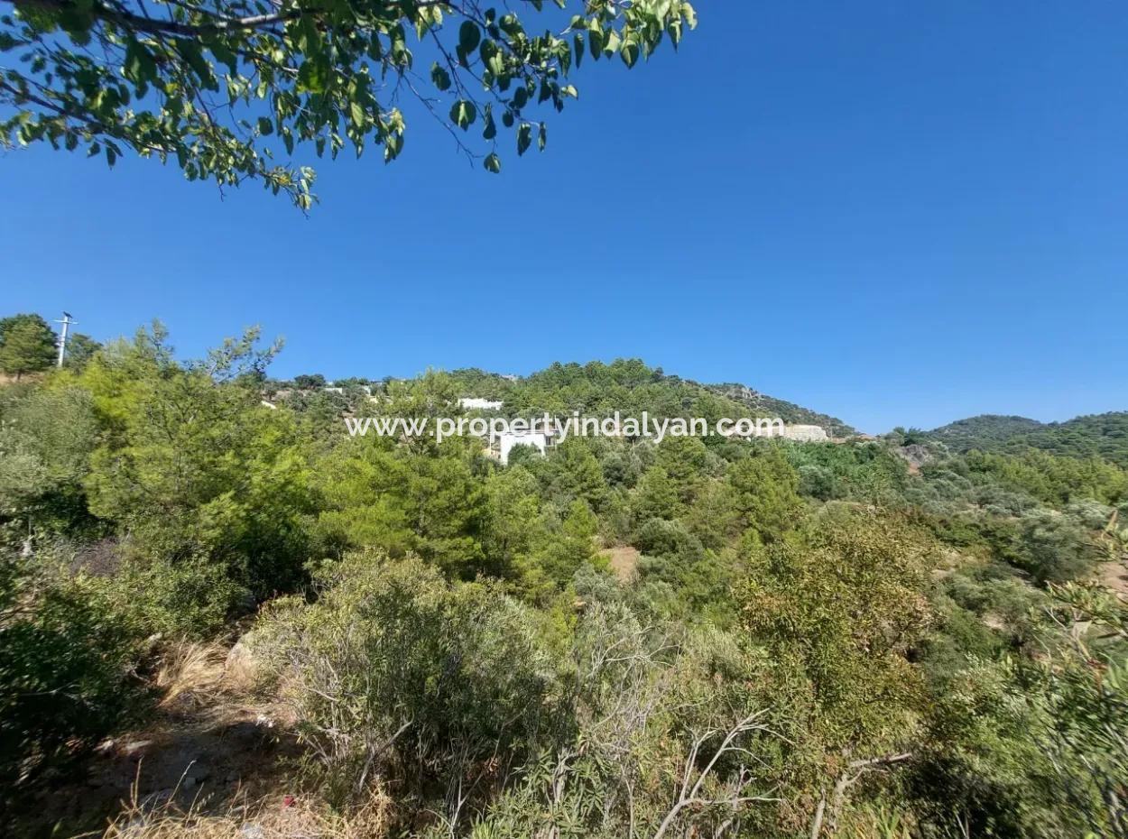 Muğla Ortaca Gökbel’de Satılık Müstakil Tapulu  238 M2 Hobi Bahçesi
