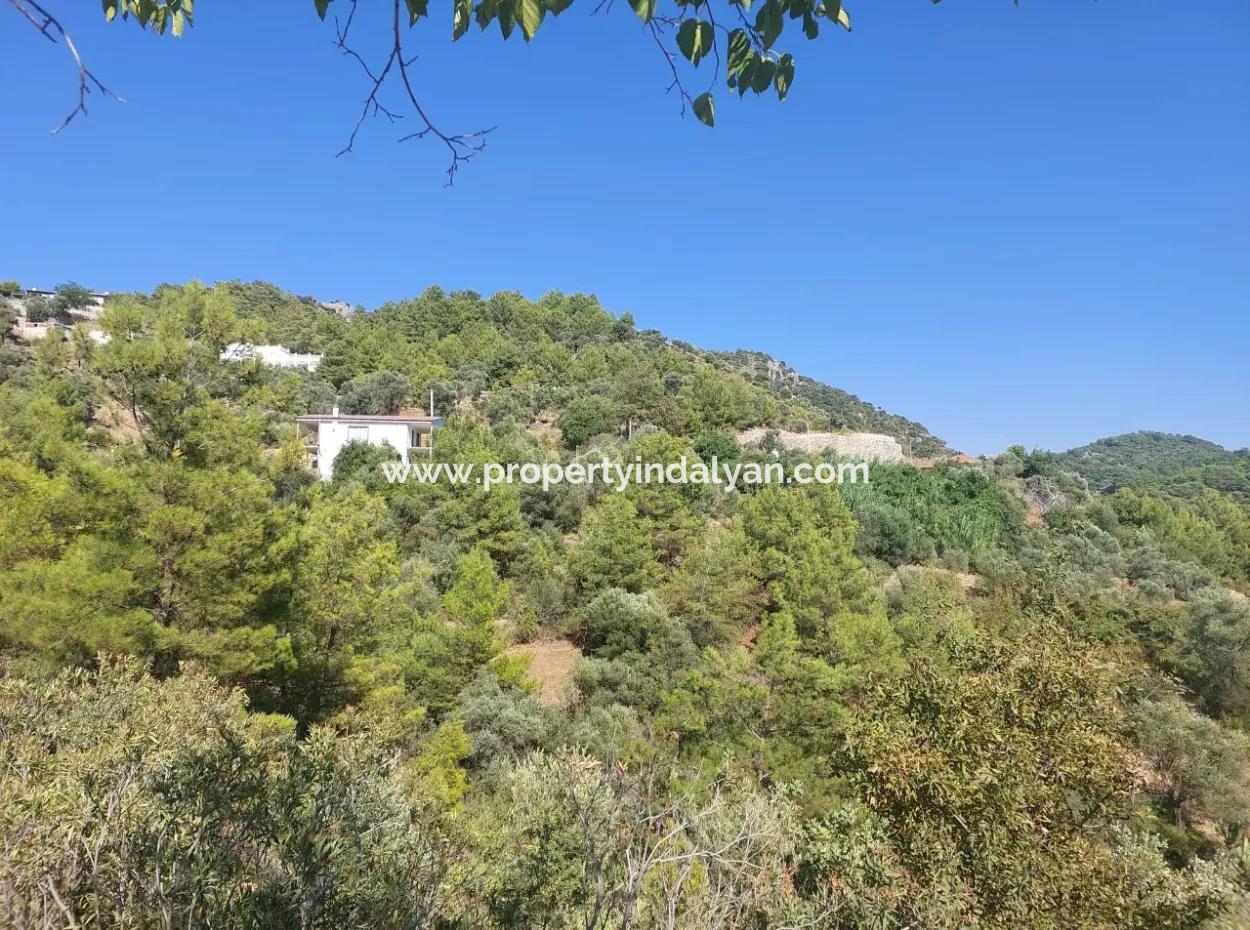 Muğla Ortaca Gökbel’de Satılık Müstakil Tapulu  238 M2 Hobi Bahçesi
