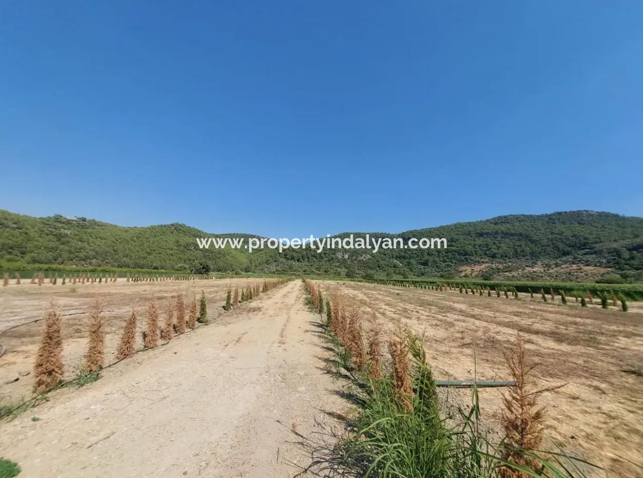 Ortaca Güzelyurt’ta Satılık Kooperatif Hisseleri – 270 M²