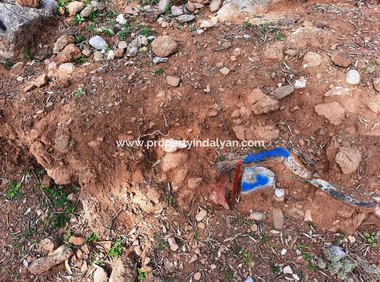 Muğla Ortaca Dalyan Gökbel De 3 100 M2 Hazine Arazisi Zilliyet Hakkı Devir Edilecek