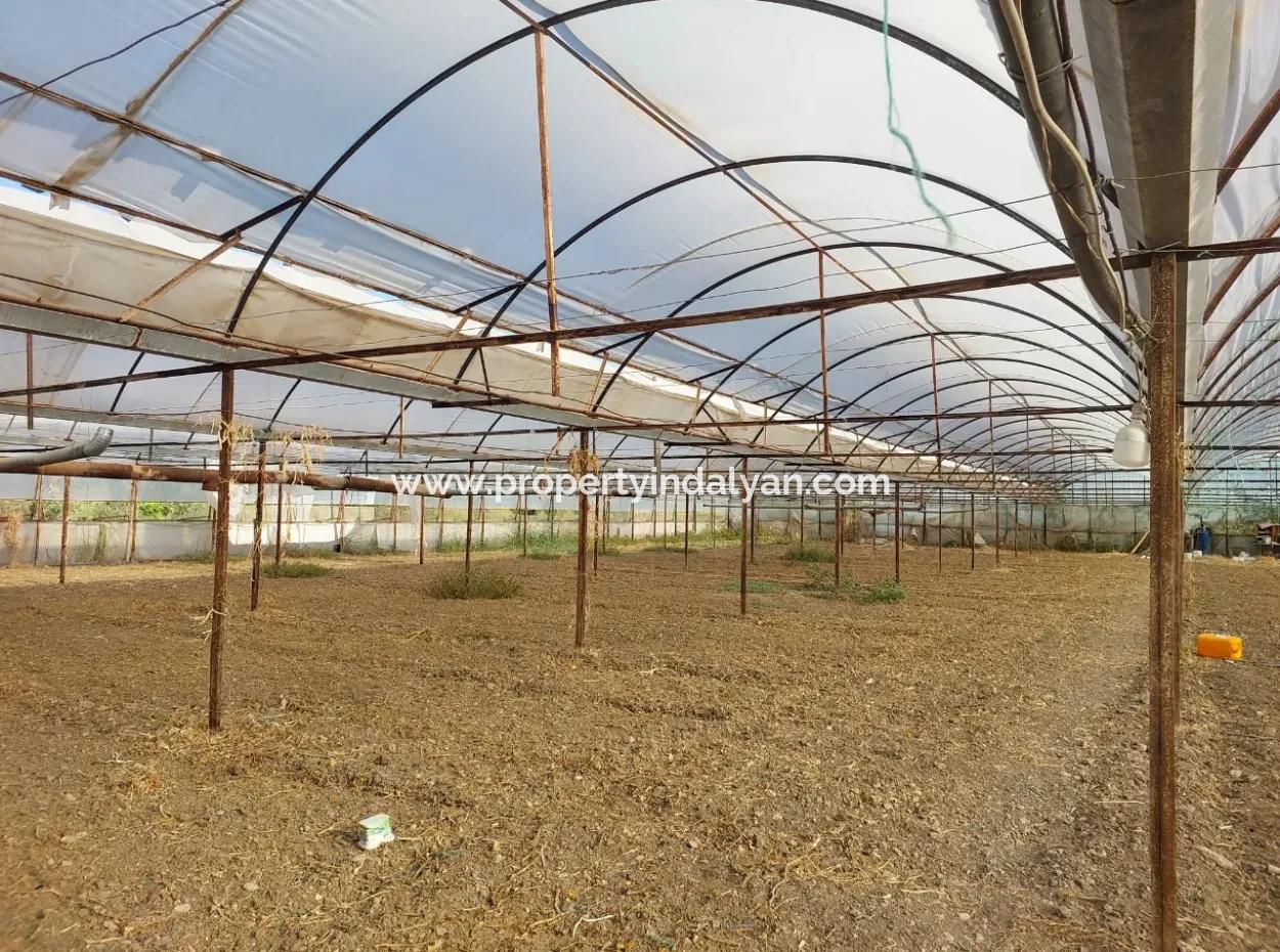 Ortaca Eskiköy’de 5.850 M² Göl Manzaralı Arazi Ve Köy Evi Satılık