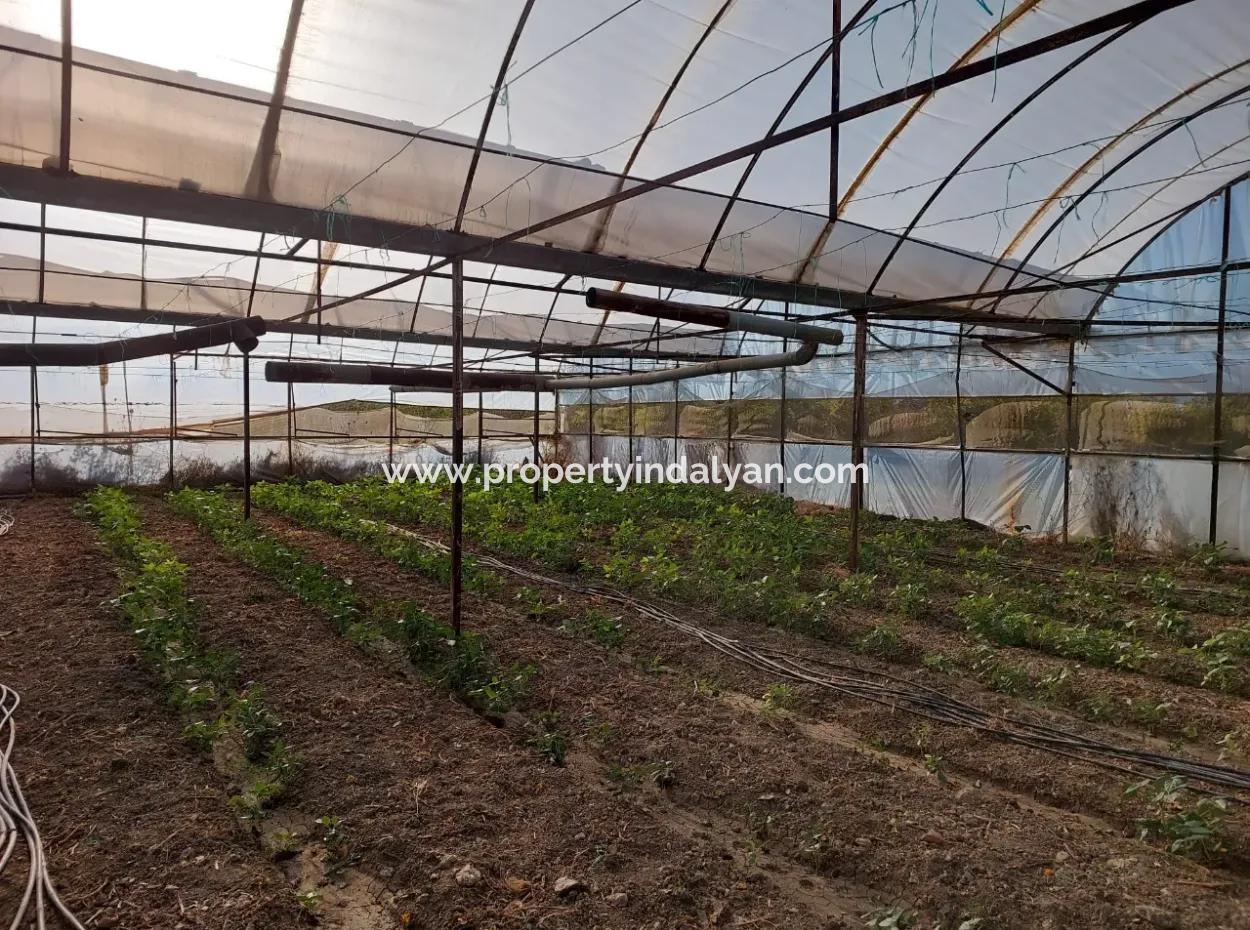 Ortaca Eskiköy’de 5.850 M² Göl Manzaralı Arazi Ve Köy Evi Satılık