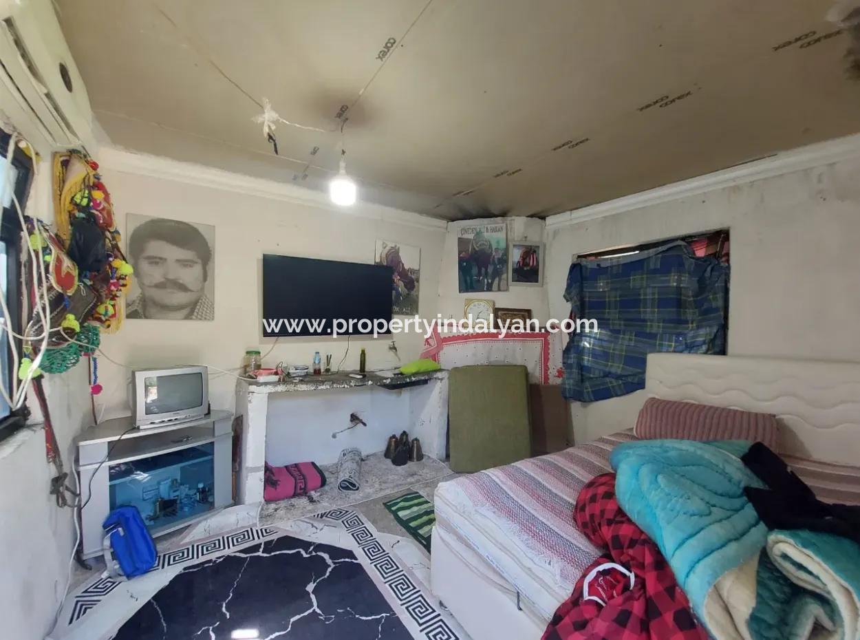 Muğla Dalaman Taşlıburun’da Doğayla İç İçe Bahçeli Yaşam Ve Yatırım Fırsatı!