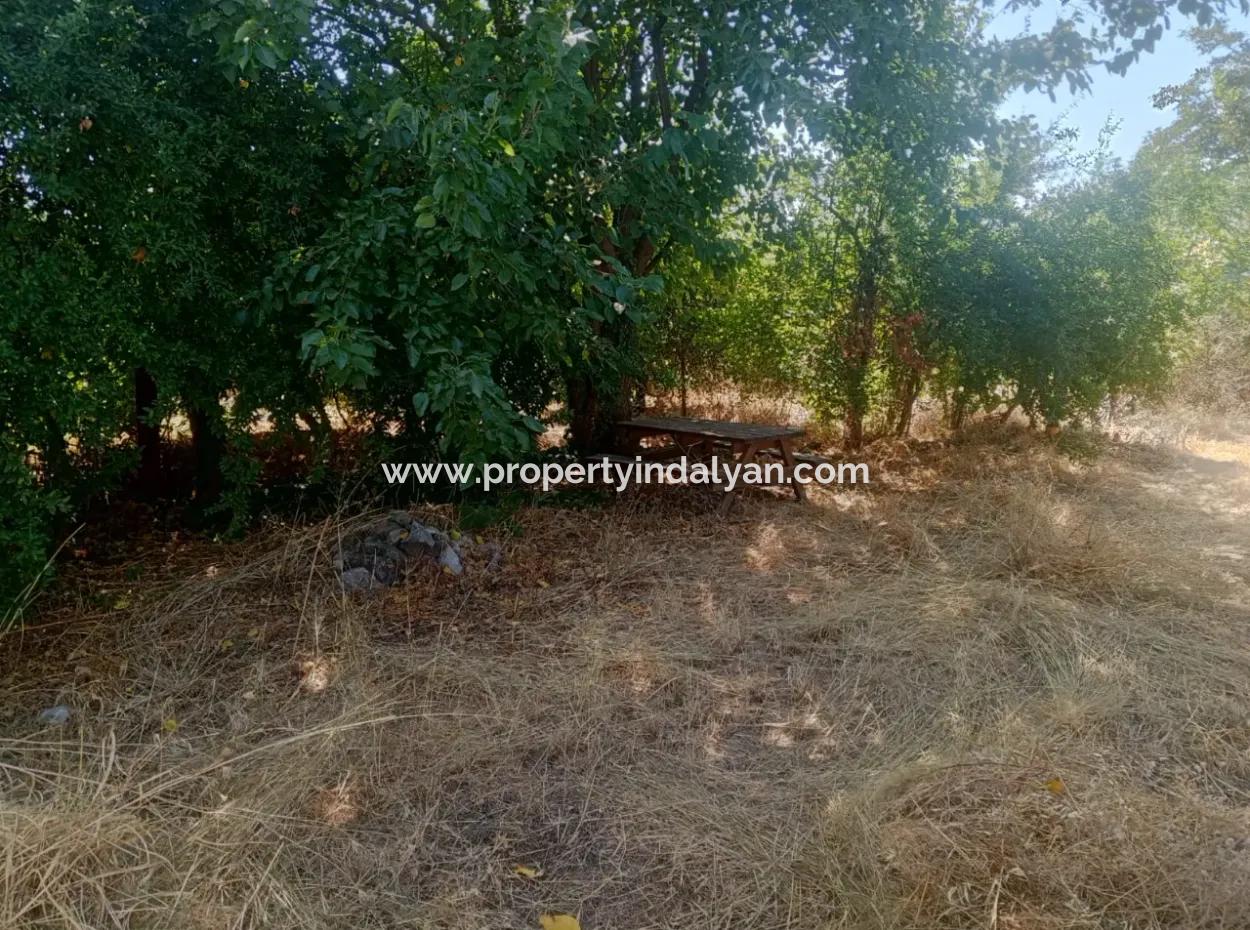 Köyceğiz - Köyceğiz Mah. 3+1 Eşyalı Müstakil Ev Kiralık