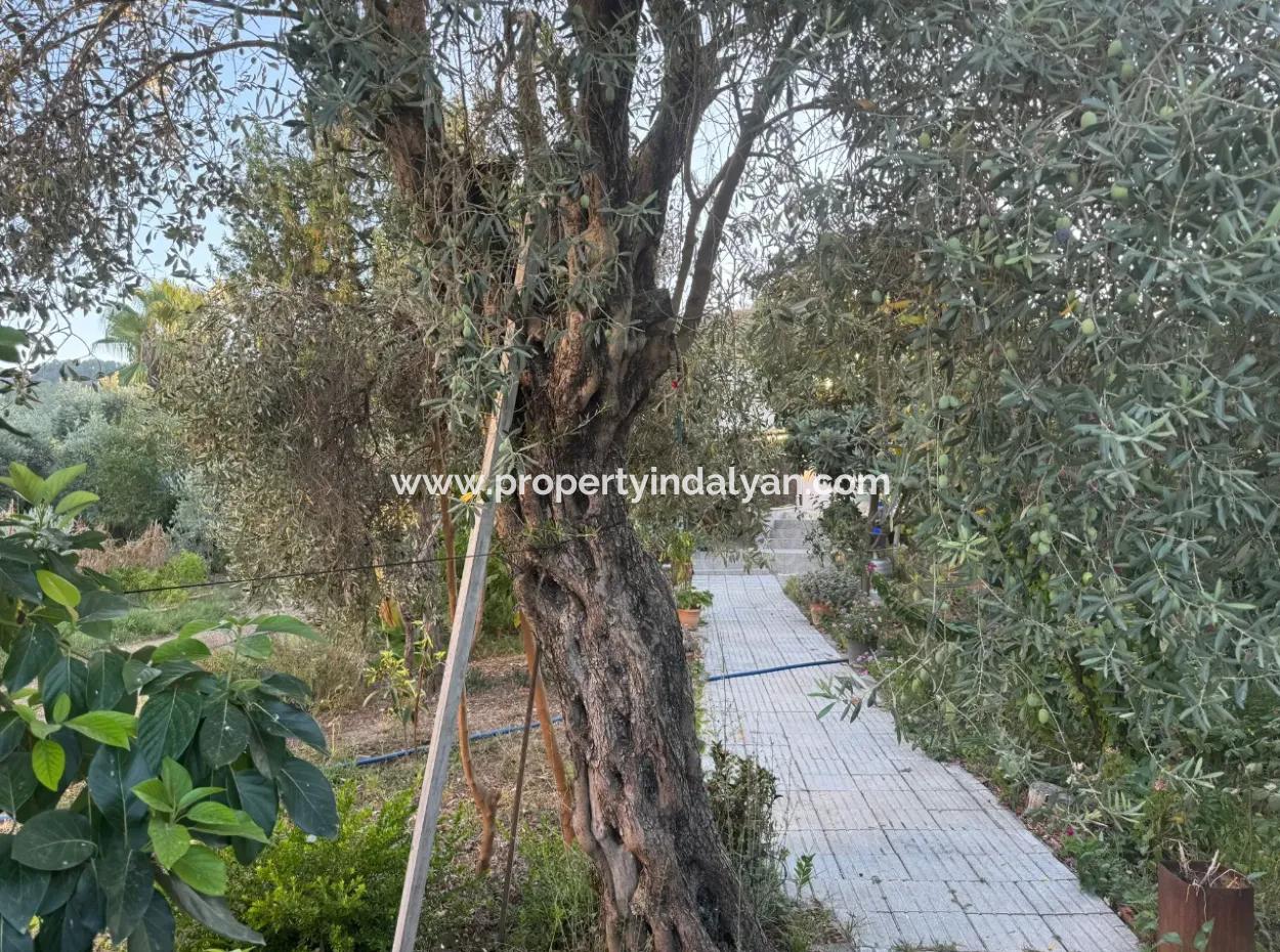 Muğla, Ortaca, Okçularda Konumu İyi  650 M2 Konut  İmarlı Arsa  Satılık