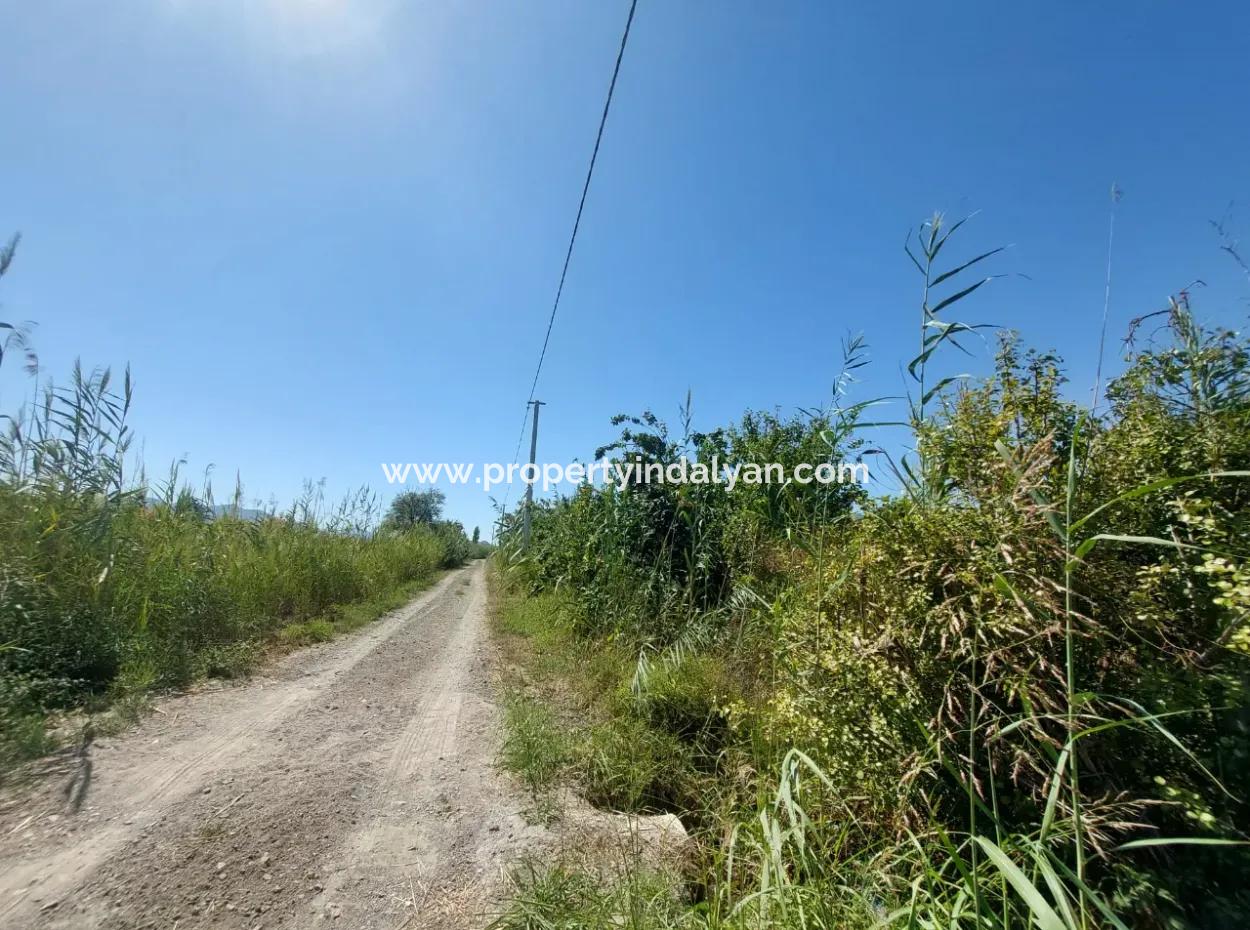 Ortaca Tepearasında  8126  M2 Yatırım Ve Zirayi Krediye Uygun Nar Bahçesi Satılık