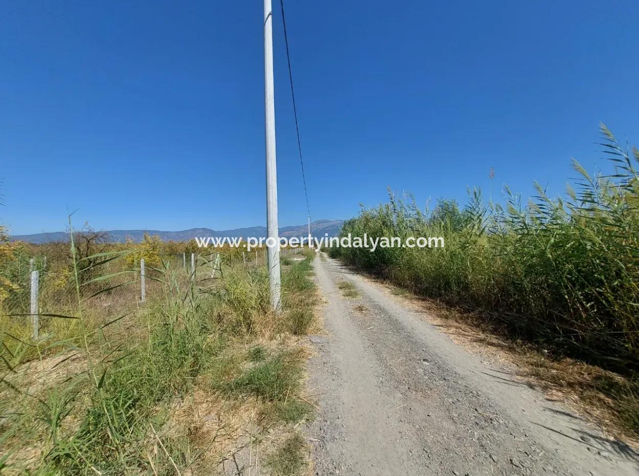 Ortaca Tepearasında  8126  M2 Yatırım Ve Zirayi Krediye Uygun Nar Bahçesi Satılık