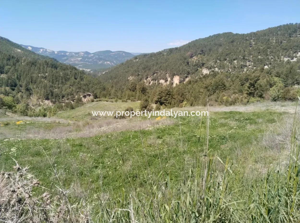 Çameli Kolakta Kelepir 20 000 M2 Müstakil Tapulu Arazi Satılık Veya Takas Olur.