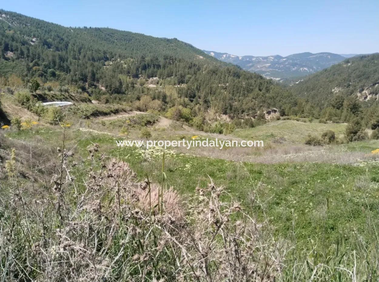 Çameli Kolakta Kelepir 20 000 M2 Müstakil Tapulu Arazi Satılık Veya Takas Olur.