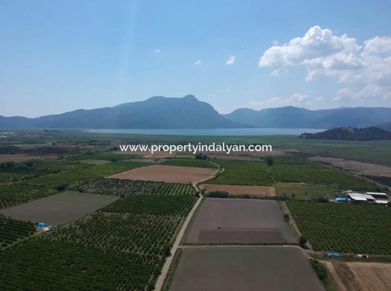 Ortaca Tepearası Nda 13 700 M2 Kelepir Arazi Satılık