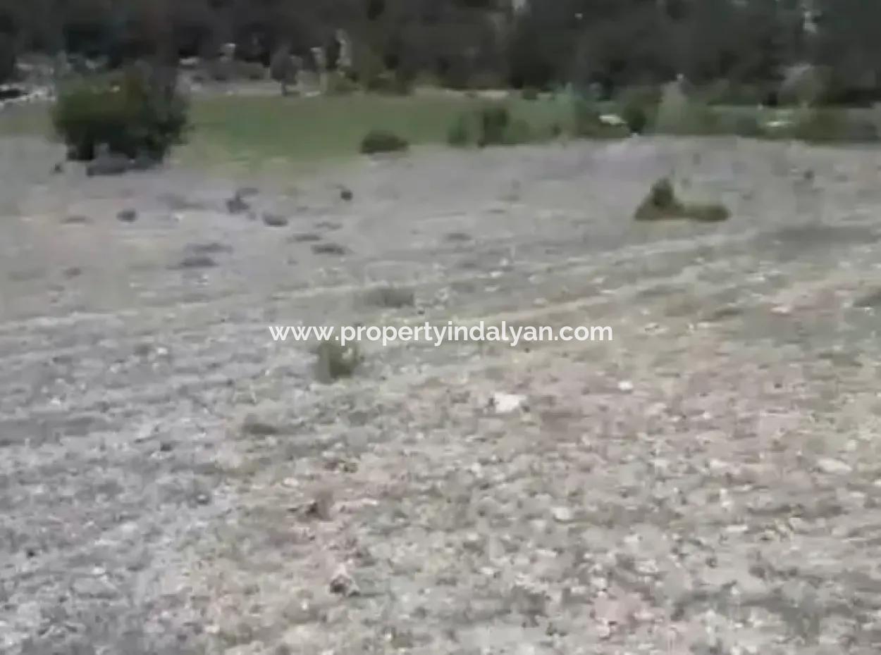 Çameli Ayvacık Ta 1770 M2 Tarla Satılık