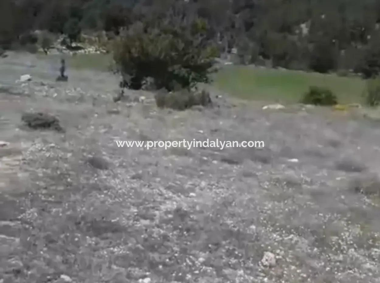 Çameli Ayvacık Ta 1770 M2 Tarla Satılık