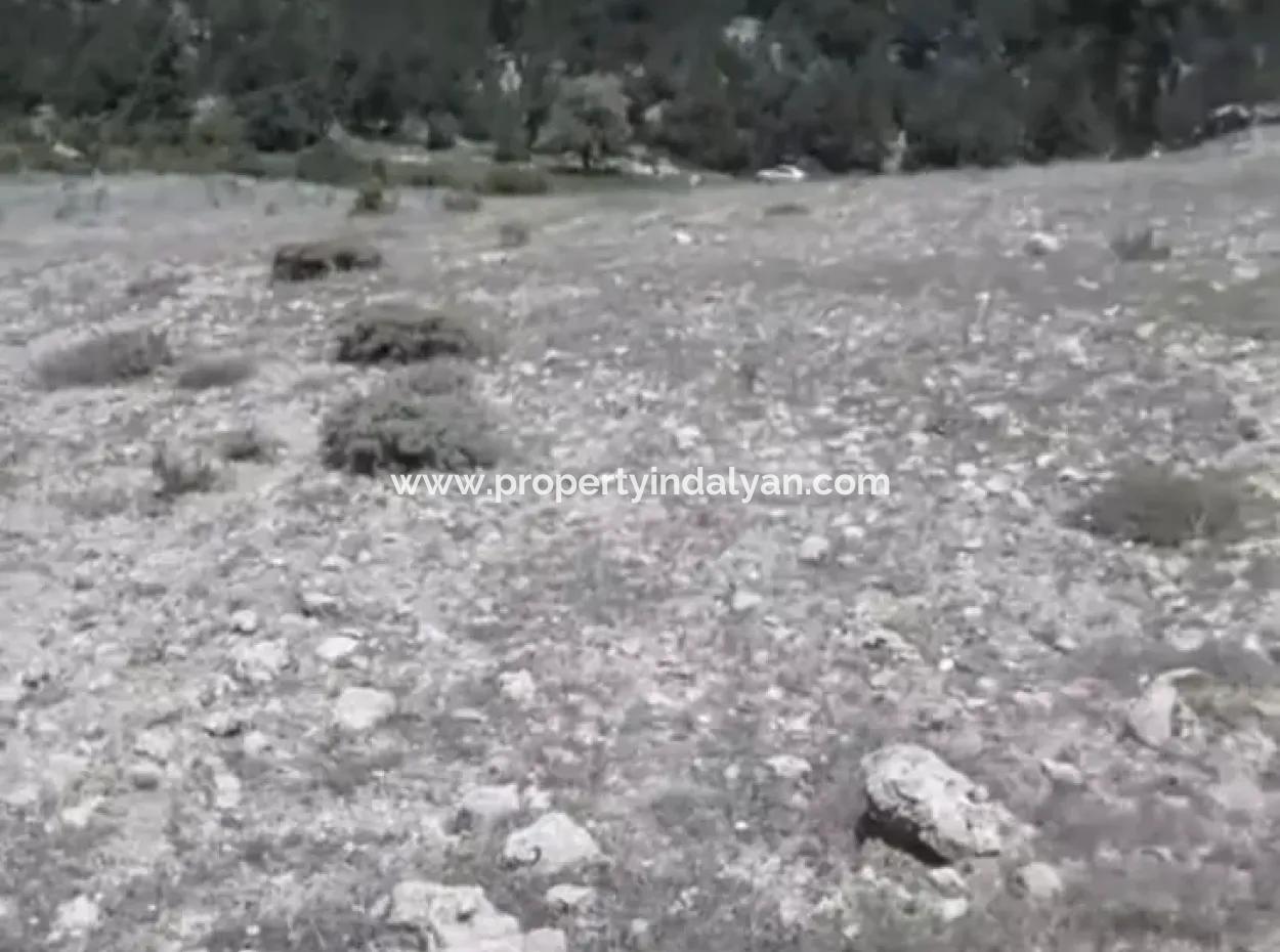 Çameli Ayvacık Ta 2030 M2 Tarla Satılık