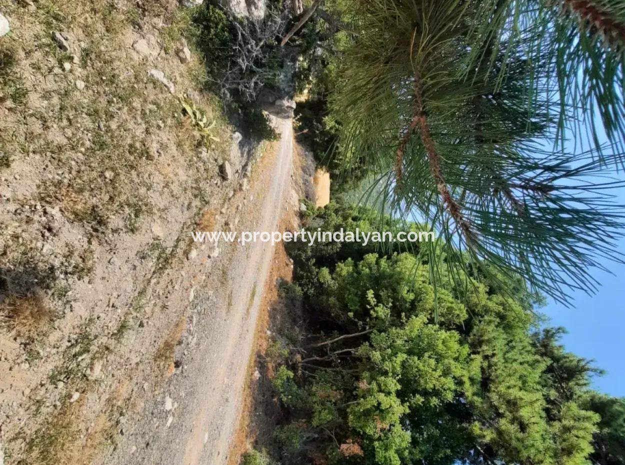 Fethiye, Nif Te, 2 100 M2, Satılık, Kelepir Arazi