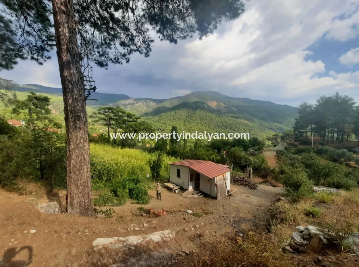 Muğla Köyceğiz Ağla - Yaylada 535 M2 Arsa Ve Tiny House Ev Satılık